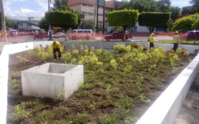 Barrio Candelaria- Mejoramiento del Sistema de Alcantarillado de Aguas Lluvias, e Implementación de Sistemas de Drenaje Sostenible